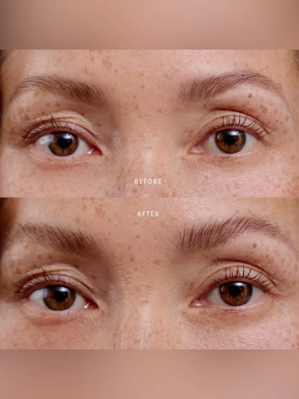 Lithe
UHD Brow Sculpt - Picture 10 of 12